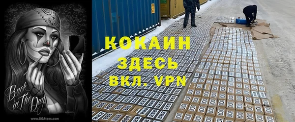 гашик Кулебаки