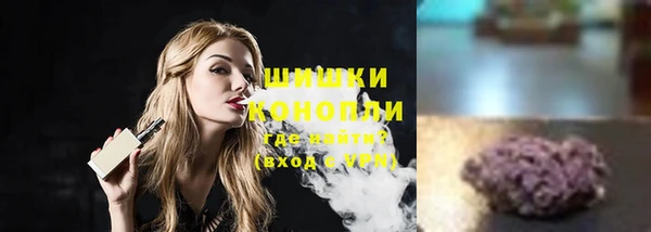 гашик Кулебаки