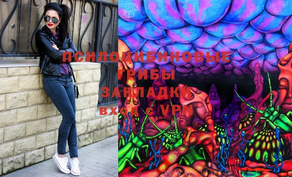 гашик Кулебаки