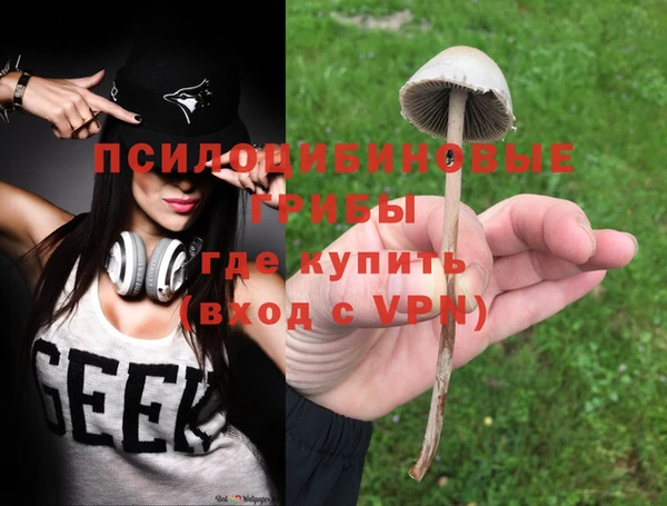 гашик Кулебаки