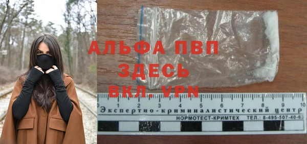 гашик Кулебаки