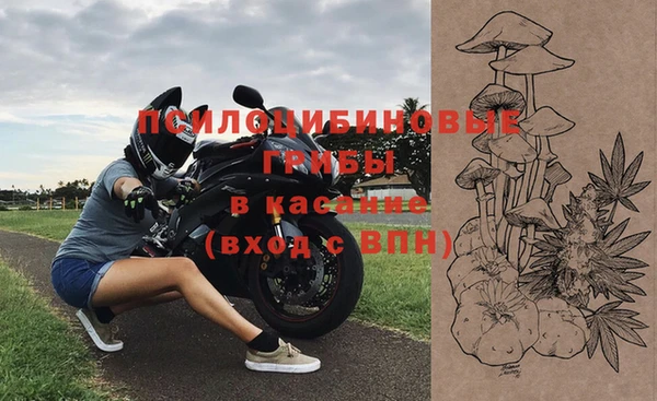 гашик Кулебаки