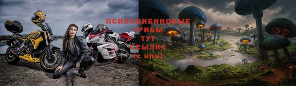 гашик Кулебаки