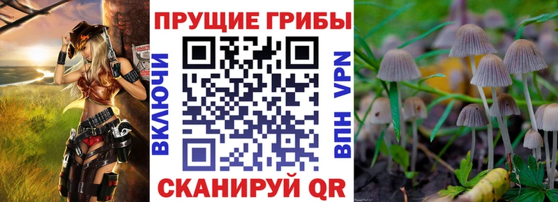Псилоцибиновые грибы Psilocybine cubensis  Шали 
