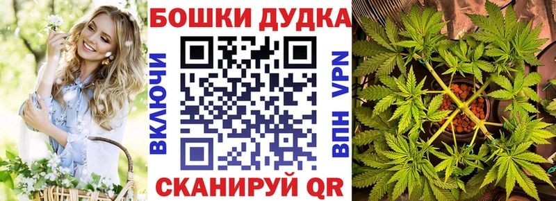цены наркотик  Шали  блэк спрут ССЫЛКА  Бошки Шишки семена 